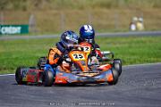 DSC_ (1364)